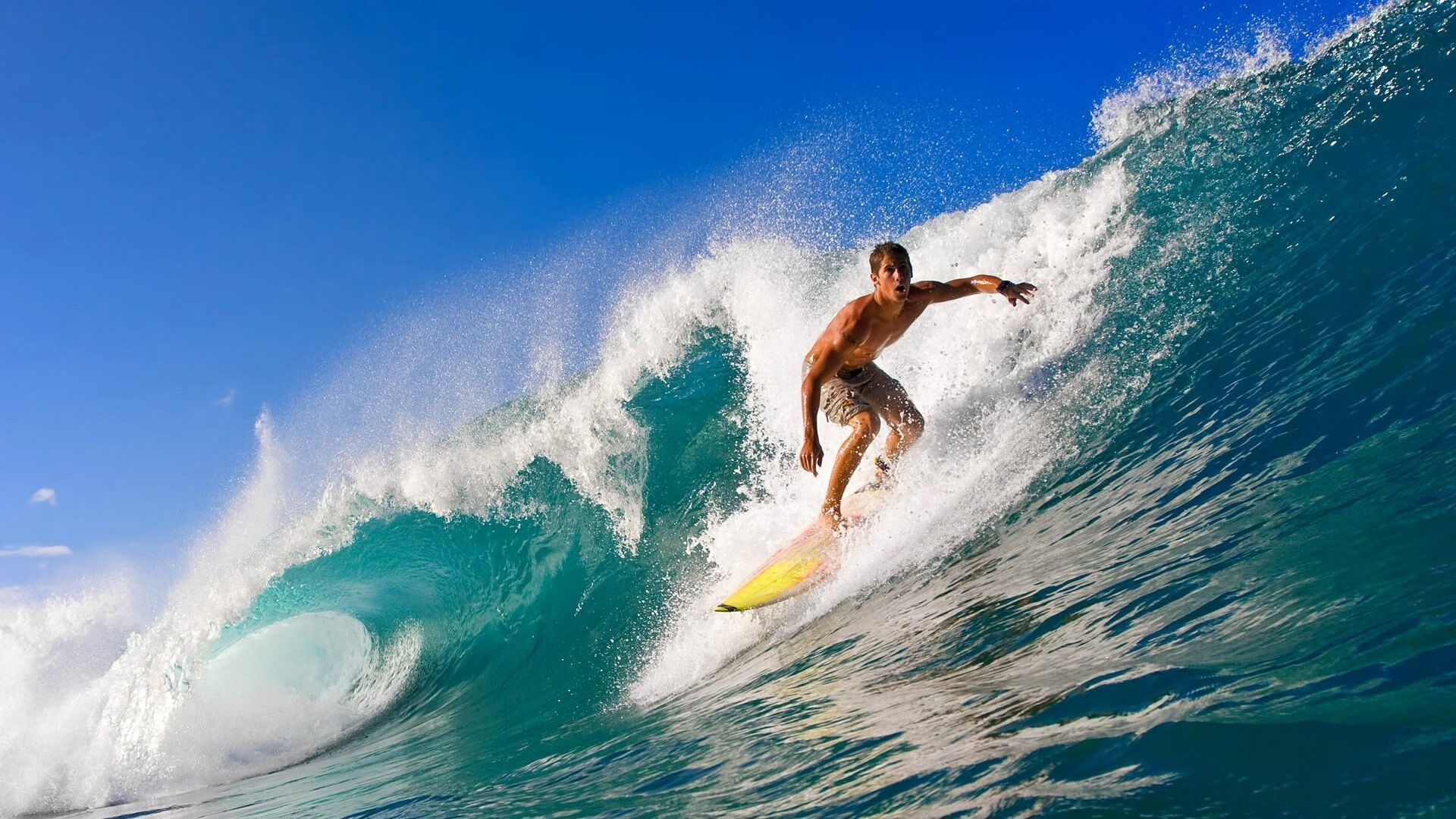 黄蜂蛰伏终亮剑,欧冠式决胜局,篮网梦碎焦点战