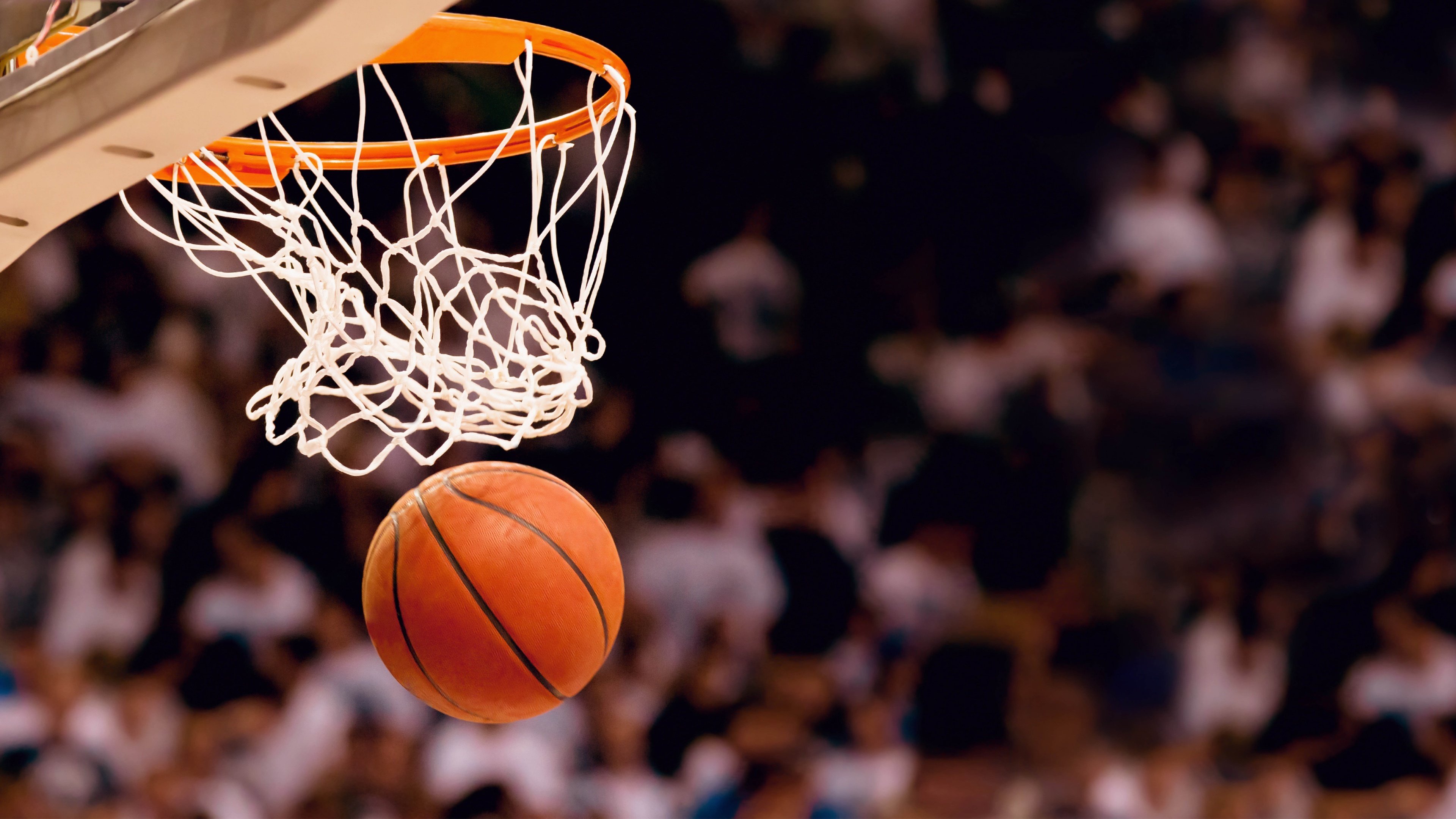 2026世界杯D组风云,尼日利亚横扫比利时,贝林厄姆中场制霸成唯一亮点